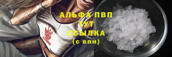 гашик Елизово