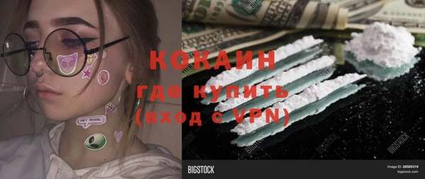 гашик Елизово