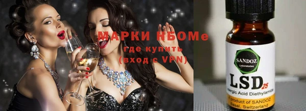 гашик Елизово