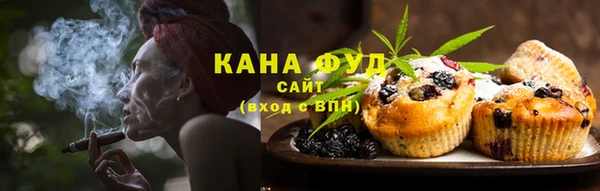гидра Елабуга