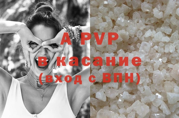 гидра Елабуга