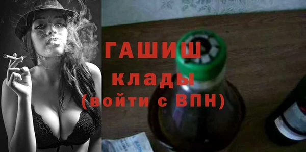 гашик Елизово
