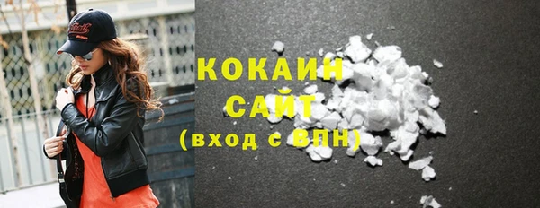 гидра Елабуга