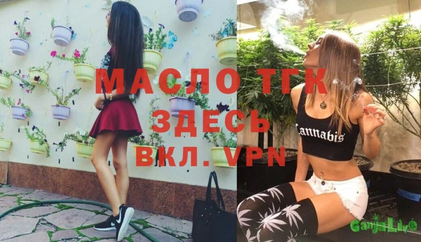мдма Ельня