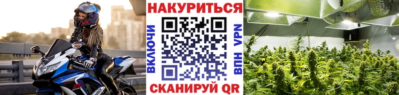 МАРИХУАНА сатива  hydra tor  Мостовской 